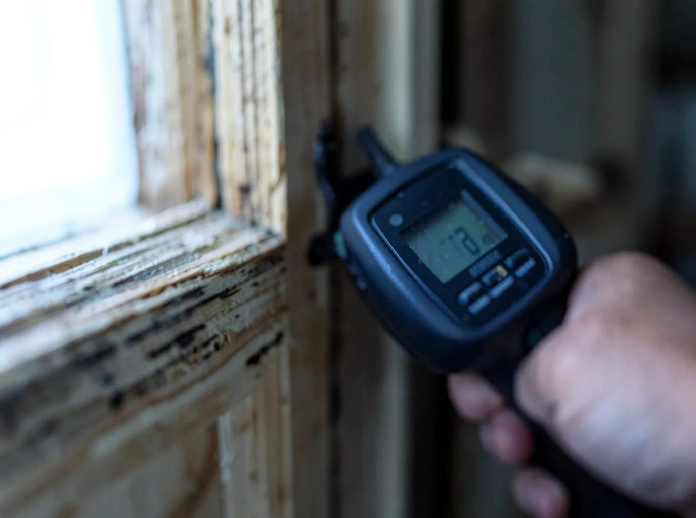 Moisture Inspection And Documentation in Ocean View, NJ